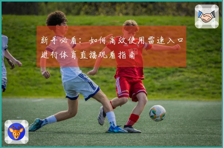 新手必看：如何高效使用雷速入口进行体育直播观看指南