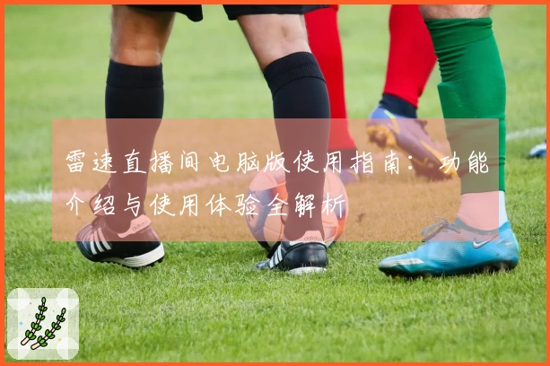 雷速直播间电脑版使用指南：功能介绍与使用体验全解析