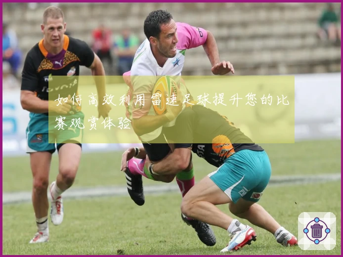 如何高效利用雷速足球提升您的比赛观赏体验